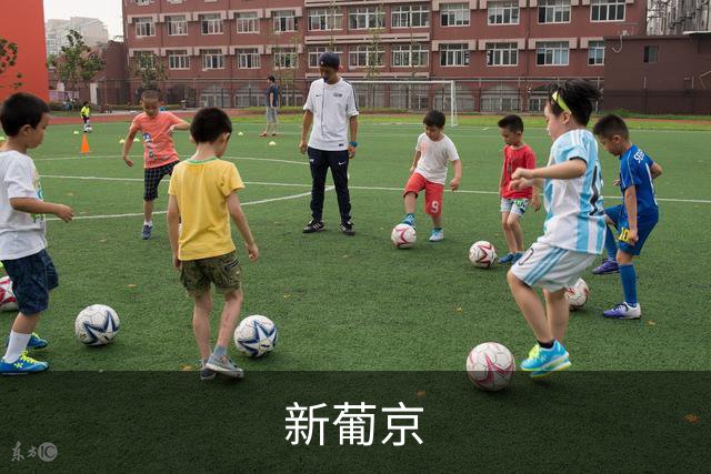 新葡京企业介绍展示图